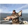 Image 1 : Casting/Trolling Fishing Trip for Musky on Lake St. Clair for 2 Anglers