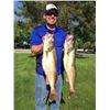 Image 1 : Walleye Fishing Trip for 6 Anglers on Lake Erie