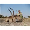 Image 2 : Five Day South African Safari for 2 Hunters