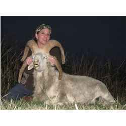 Seven Day Argentina Hunt for 2 Hunters with Trophy Fees