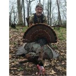 One Day Southeast Michigan Turkey Hunt for One Hunter