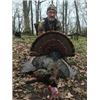 Image 1 : One Day Southeast Michigan Turkey Hunt for One Hunter
