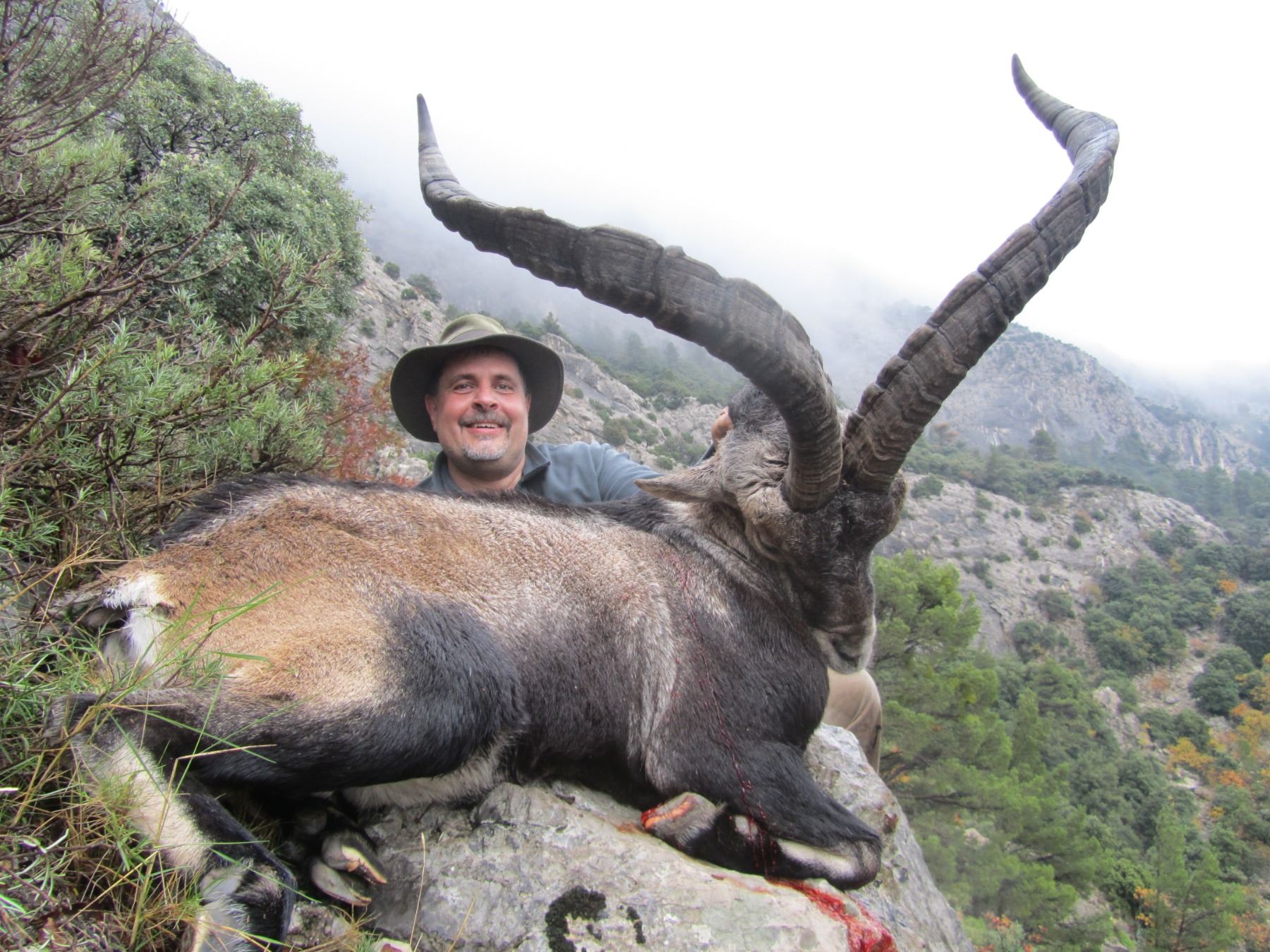 Five Day Hunt in Spain for 1 Hunter and 1 Nonhunter