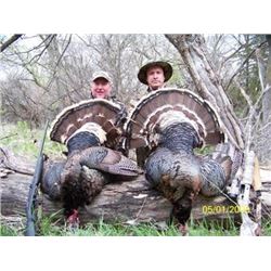 3 day, 2 bird turkey hunt for two hunters in Nebraska