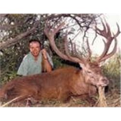 7 Day Argentina hunt for 1 Russian boar, 1 ram, and 1 multi-horned sheep per hunter for 2 hunters.