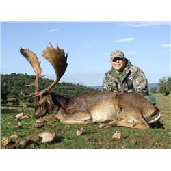 Three day trophy Fallow Deer hunt for one hunter