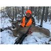 Image 2 : Saskatchewan Whitetail hunt