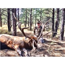 5 or 6 day SW New Mexico Elk hunt for one person
