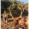 Image 2 : 5 or 6 day SW New Mexico Elk hunt for one person