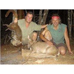 7 day Campeche Jungle (Mexico) hunt for 3 species for 2 hunters