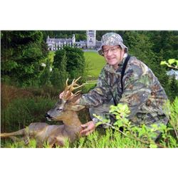 Spring Roe Deer hunt in Scotland. One hunter two Roe Deer.Includes $500 credit on airfare to and fro