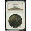 Image 1 : 1881-S S$1 MS67 NGC. In addition to its Superb