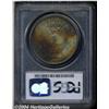 Image 2 : 1882 S$1 MS65 PCGS. Medium golden toning with