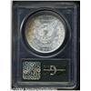Image 2 : 1885 S$1 MS64 PCGS. Well struck and lustrous,