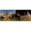 Image 1 : 4-day/5-night Illinois Northeastern White-Tailed Deer Hunt for One Hunter