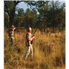 Image 2 : 1-day/1night Georgia Bob White Quail Hunt for Two Hunters