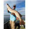 Image 2 : 3-day Northwest Territories Monster Pike Fishing Trip for Two Anglers
