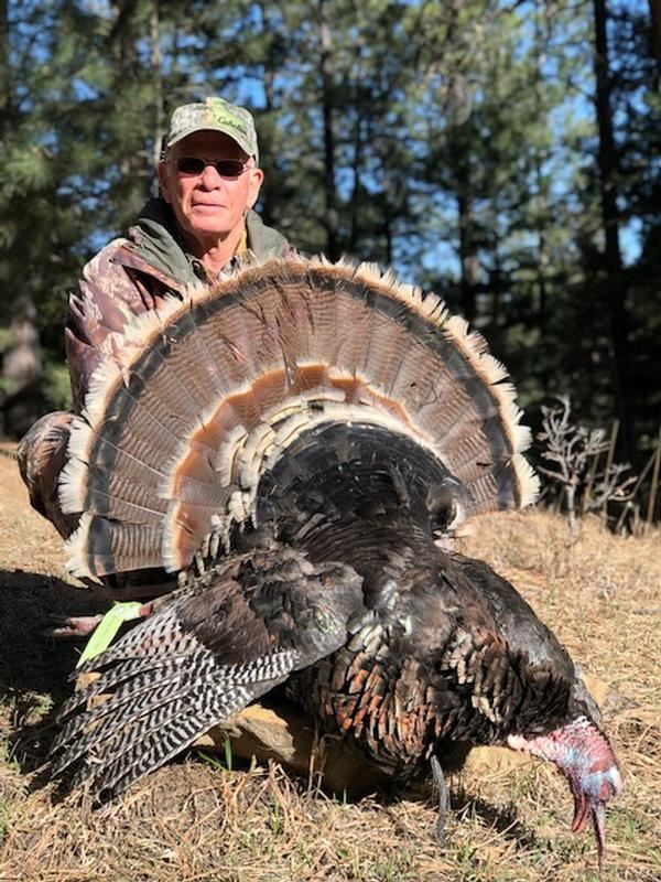 3day New Mexico Merriams Turkey Hunt for One Hunter Safari Club