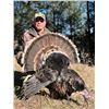 Image 2 : 3-day New Mexico Merriams Turkey Hunt for One Hunter
