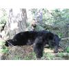 Image 1 : 6-day British Columbia Black Bear Hunt for One Hunter