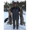 Image 2 : 5-day British Columbia Trapline Adventure for One Hunter