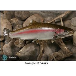 Steelhead on River Rock Panel