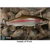 Image 1 : Steelhead on River Rock Panel