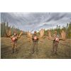 Image 2 : 10-day Trophy Yukon Moose, Black Bear, Wolverine and Wolf Hunt for One Hunter