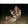 Image 2 : 3-1/2 day Missouri White-tailed Deer Hunt with Adam Vinatieri for Two Hunters and Two Observers