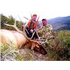 Image 2 : 5-day Colorado Elk and Pronghorn Hunt for Two Hunters