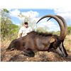Image 2 : 12-day Mozambique Cape Buffalo and Sable Hunt for One Hunter and One Observer