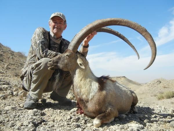 Pakistan Hunter 3-day Pakistan Sindh Ibex Hunt for One Hunter