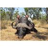 Image 2 : 14-day Tanzania Big Game Safari Hunt for One Hunter and One Observer