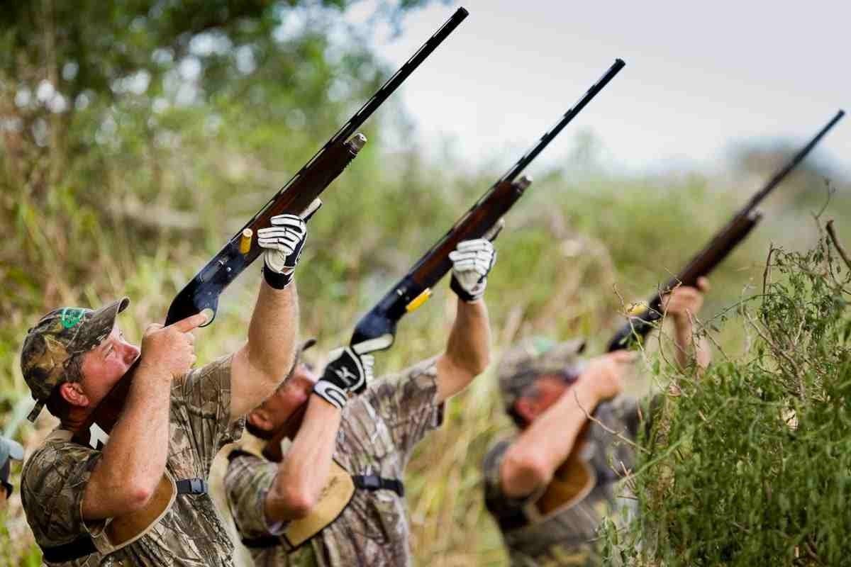 4 day Argentina Dove Shoot For Fourteen Hunters Safari Club International 4-day-argentina-dove-shoot-for-fourteen-hunters-safari-club-international