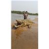 Image 2 : 7-day Mozambique Crocodile Hunt for Two Hunters