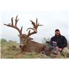 Image 2 : 3-day Texas White-tailed Deer Hunt with Full Body Mount for One Hunter and One Observer