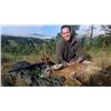Image 2 : 5-day Italy European Roe Deer and Chamois Hunt for Two Hunters
