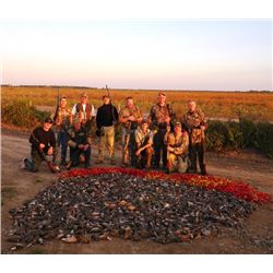 5-day Argentina Dove and Pigeon Hunt for Eight Hunters