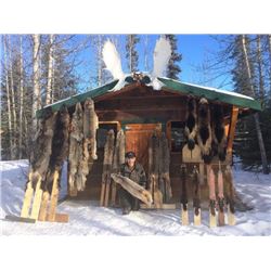 5-day Yukon Trapline Adventure for One