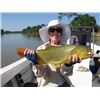 Image 8 : 4-day Argentina Dove and Dorado Cast & Blast Adventure for Six