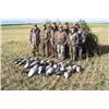 Image 2 : 3-day Canada Goose and Duck Hunt for Two Hunters