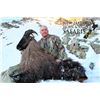 Image 2 : 12-day New Zealand Big Game and Waterfowl Hunt for Three Hunters and Three Observers