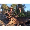 Image 1 : 5-day Spain Choice of Red Deer, Iberian Mouflon or Fallow Deer Hunt for One Hunter and One Observer