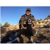 Image 2 : 5-day Spain Choice of Red Deer, Iberian Mouflon or Fallow Deer Hunt for One Hunter and One Observer