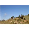 Image 1 : 5-day Spain Red-Legged Partridge Hunt and Sightseeing for One Hunter and One Observer