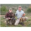 Image 2 : 5-day Spain Red-Legged Partridge Hunt and Sightseeing for One Hunter and One Observer