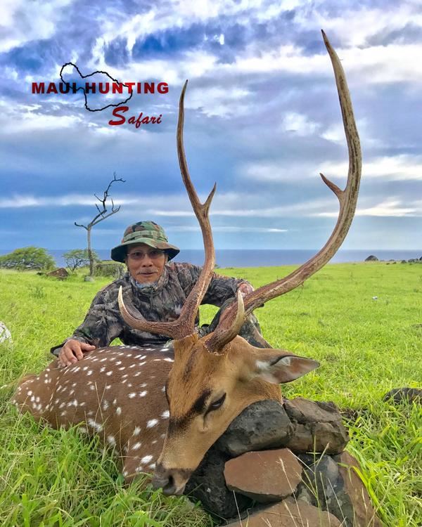 2-day Hawaii Free-Range Trophy Axis Deer & Feral Goat Combo Package for ...