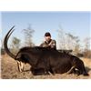 Image 2 : 10-day South African Archery Safari for Two Hunters and Two Observers