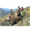 Image 2 : 6-day New Zealand Tahr Hunt for Two Hunters and Two Observers