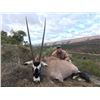 Image 2 : 10-day South Africa Plains Game Hunt for One Hunter and One Observer
